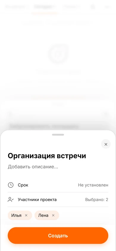 Создание проекта Организация встречи с выбранными участниками Ильёй и Леной
